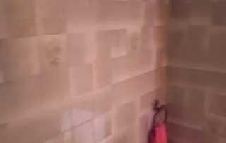 un cuarto de baño con paredes de azulejos, un bidé y un portarrollos de papel higiénico