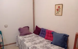 habitación con una cama individual, cojines y un cuadro en la pared.